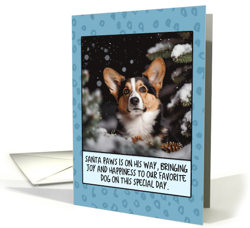 Cardigan Welsh Corgi Christmas card (1806388)
