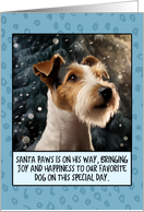 Fox Terrier Christmas card