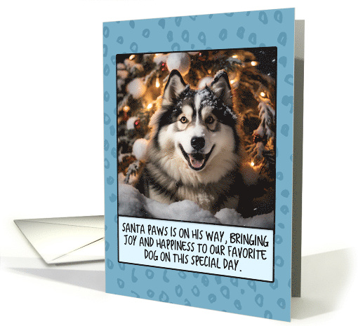 Alaskan Malamute Christmas card (1806398)