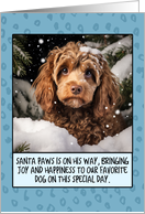 Cockapoo Christmas card