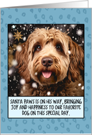 Labradoodle Christmas card