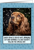 American Cocker Spaniel Christmas card