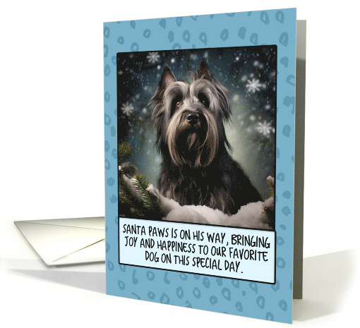 Skye Terrier Christmas card (1806424)