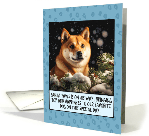 Shiba Inu Christmas card (1806426)