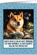 Shiba Inu Christmas card