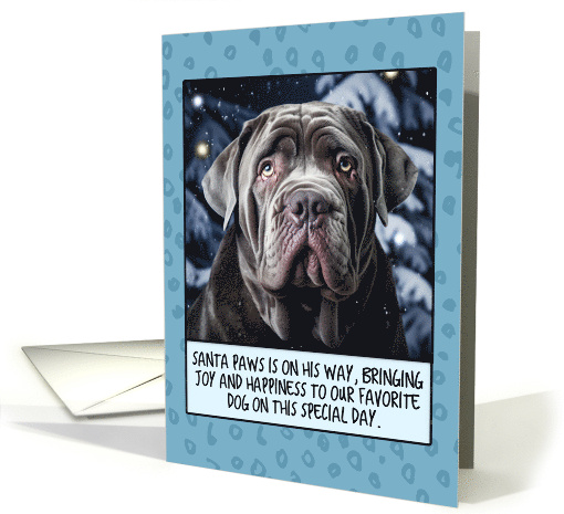 Neapolitan Mastiff Christmas card (1806430)