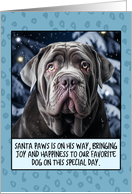 Neapolitan Mastiff...