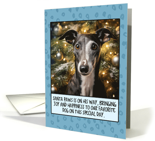 Greyhound Christmas card (1806432)