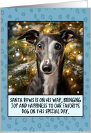 Greyhound Christmas card