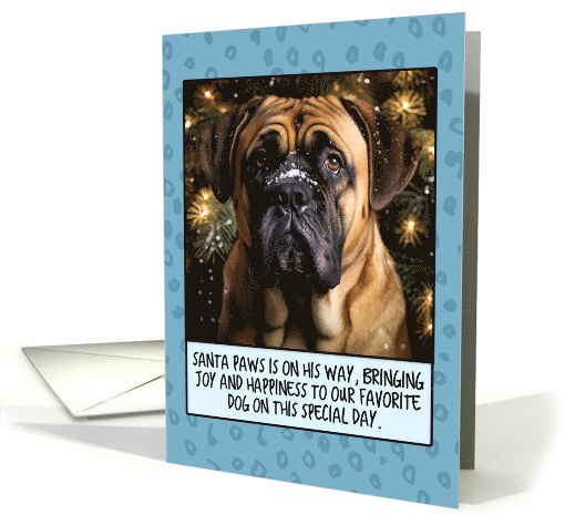 Bull Mastiff Christmas card (1806434)