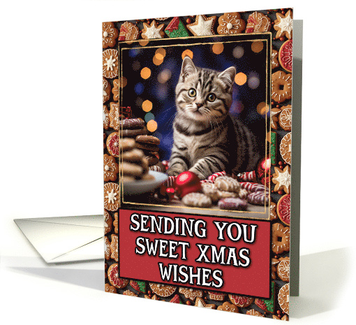 Tabby Kitten Sweet Christmas Wishes card (1806466)