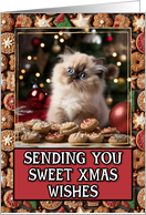 Himalayan Kitten Sweet Christmas Wishes card