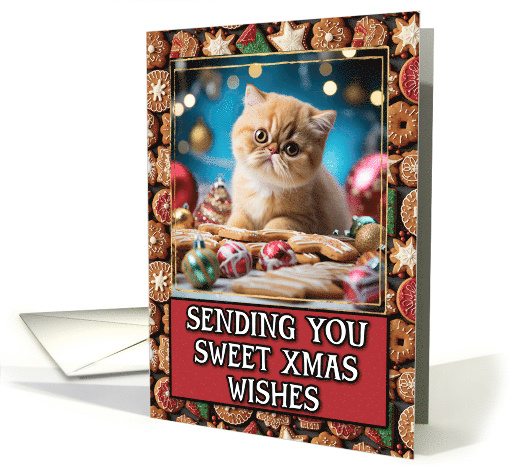 Exotic Shorthair Kitten Sweet Christmas Wishes card (1806486)