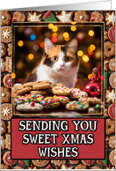 Calico Cat Sweet Christmas Wishes card