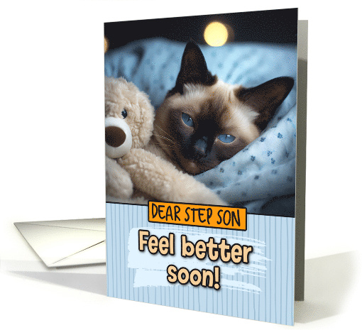 Step Son Get Well Feel Better Siamese Cat with Cuddly Toy card