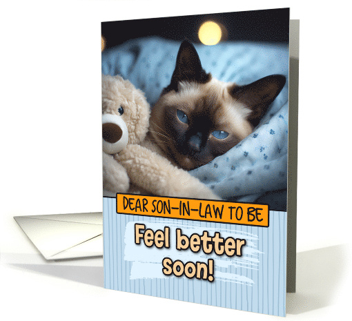 Son in Law To Be Get Well Feel Better Siamese Cat with Cuddly Toy card