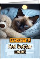 Secret Pal Get Well Feel Better Siamese Cat with Cuddly Toy card