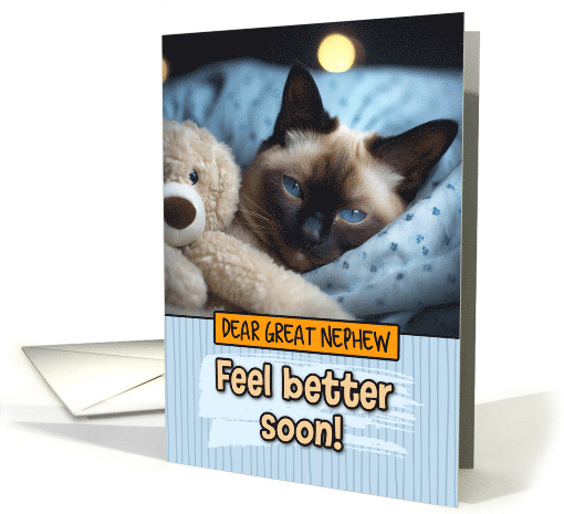 Great Nephew Get Well Feel Better Siamese Cat with Cuddly Toy card