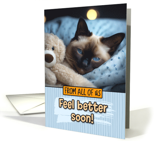 From Group Get Well Feel Better Siamese Cat with Cuddly Toy card