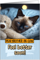 Brother in Law Get Well Feel Better Siamese Cat with Cuddly Toy card