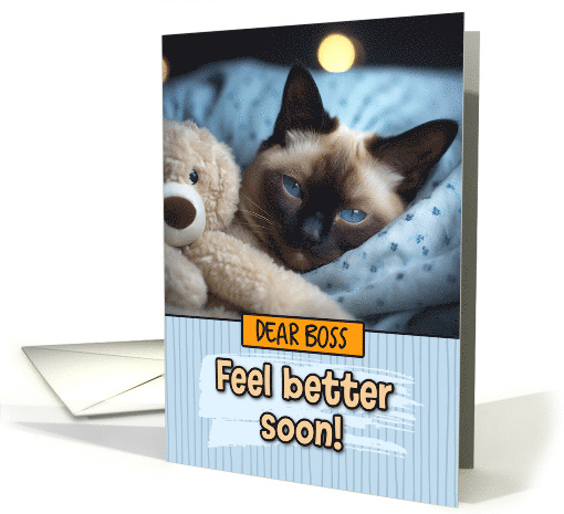 Boss Get Well Feel Better Siamese Cat with Cuddly Toy card (1807718)