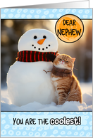 Nephew Thinking of You Ginger Cat and Snowman card