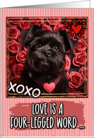 Affenpinscher Dog and Roses Valentine’s Day card