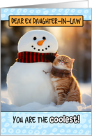 Ex Daughter in Law Thinking of You Ginger Cat and Snowman card