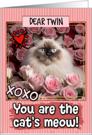 Twin Valentine’s Day Himalayan Cat and Roses card