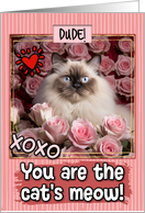 Dude Valentine’s Day Himalayan Cat and Roses card