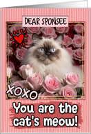 Sponsee Valentine’s Day Himalayan Cat and Roses card