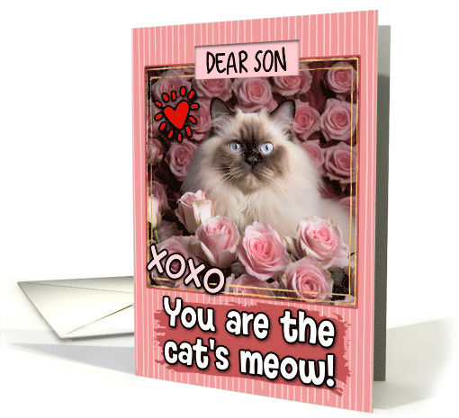 Son Valentine's Day Himalayan Cat and Roses card (1808458)
