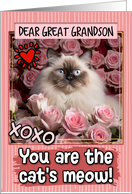 Great Grandson Valentine’s Day Himalayan Cat and Roses card