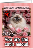 Great Granddaughter Valentine’s Day Himalayan Cat and Roses card