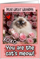 Great Grandpa Valentine’s Day Himalayan Cat and Roses card