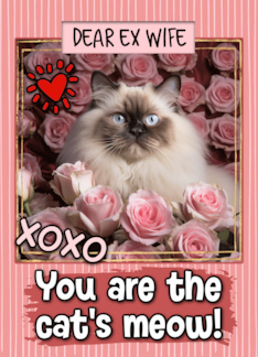 Ex Wife Valentine's Day Himalayan Cat and Roses