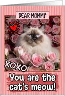 Mommy Valentine’s Day Himalayan Cat and Roses card
