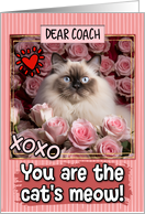 Coach Valentine’s Day Himalayan Cat and Roses card