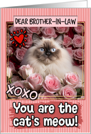 Brother in Law Valentine’s Day Himalayan Cat and Roses card