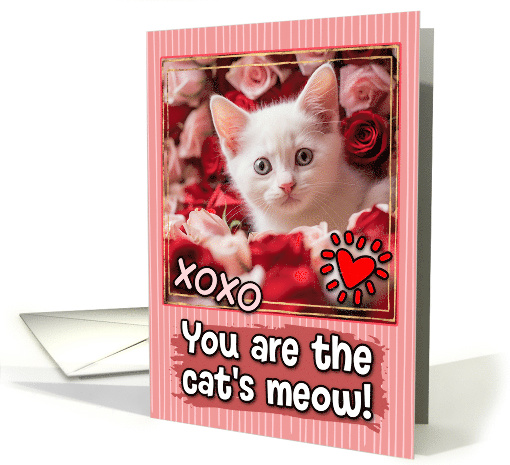 White Kitten and Roses Cat's Meow Valentine's Day card (1809452)