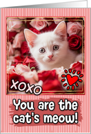 White Kitten and Roses Cat’s Meow Valentine’s Day card