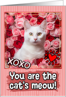 White Cat and Roses Cat’s Meow Valentine’s Day card