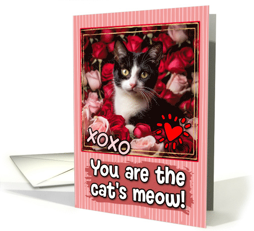 Tuxedo Kitten and Roses Cat's Meow Valentine's Day card (1809456)