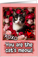 Tuxedo Kitten and Roses Cat’s Meow Valentine’s Day card