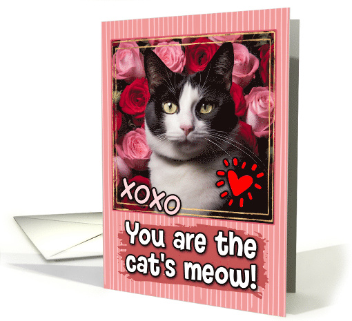 Tuxedo Cat and Roses Cat's Meow Valentine's Day card (1809458)