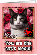 Tuxedo Cat and Roses Cat’s Meow Valentine’s Day card