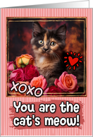 Tortoiseshell Kitten and Roses Cat’s Meow Valentine’s Day card