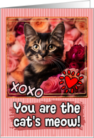 Tortoiseshell Kitten and Roses Cat’s Meow Valentine’s Day card