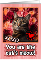 Tortoiseshell Cat and Roses Cat’s Meow Valentine’s Day card