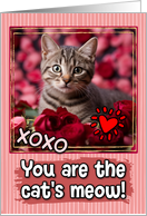 Tabby Kitten and Roses Cat’s Meow Valentine’s Day card